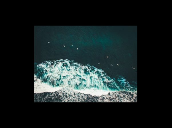 발뮤다. 더레인지와 삼성 비스포크 직화오븐 비교