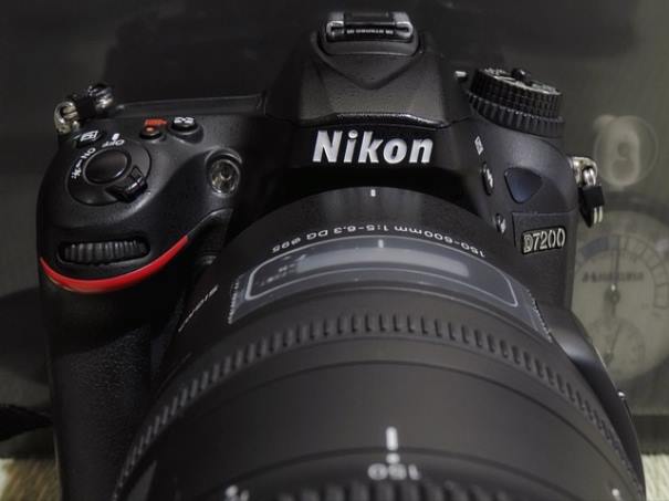 수국 키우는 법: 수국 물주기