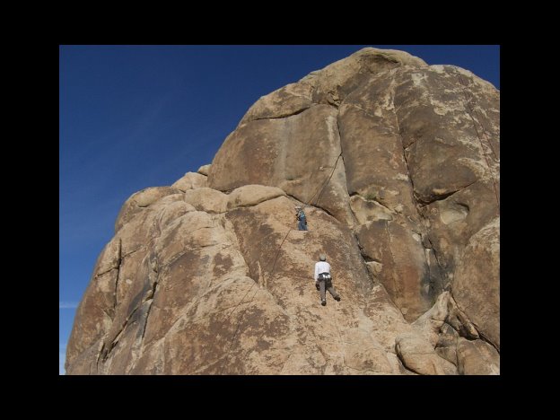 우리금융 첫 여성 사외이사