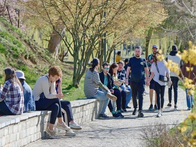 2 제스처 및 모션