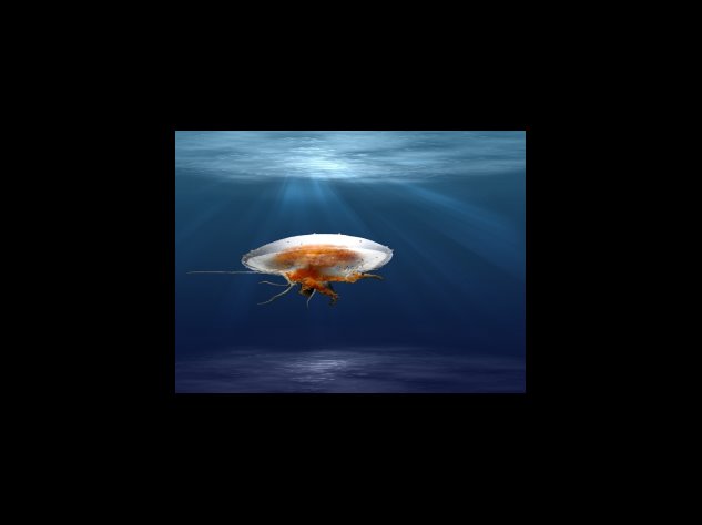 기초노령연금 수급자격