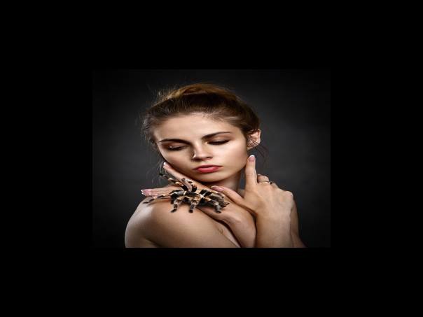 노인장기요양인정 신청