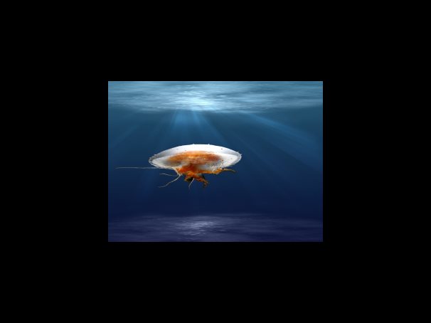 중요한 것은 조기발견과 꾸준한 치료