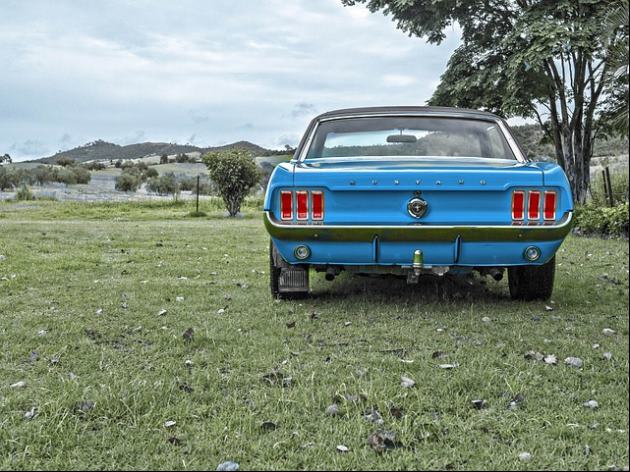 열무 물김치 담그는법 6단계 다음 단계