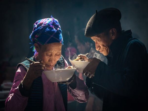 광견병 접종 확인 방법