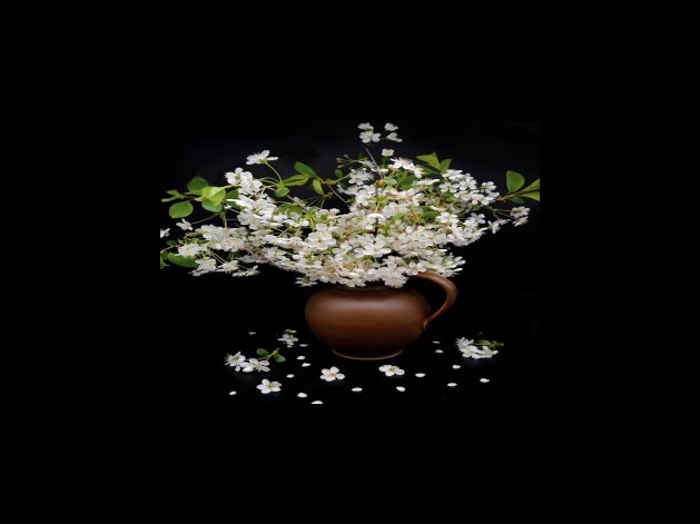 차량용 반도체 관련주 투자시 주의점