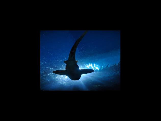 가족 돌봄 휴가 제출 증빙서류 필수 서류