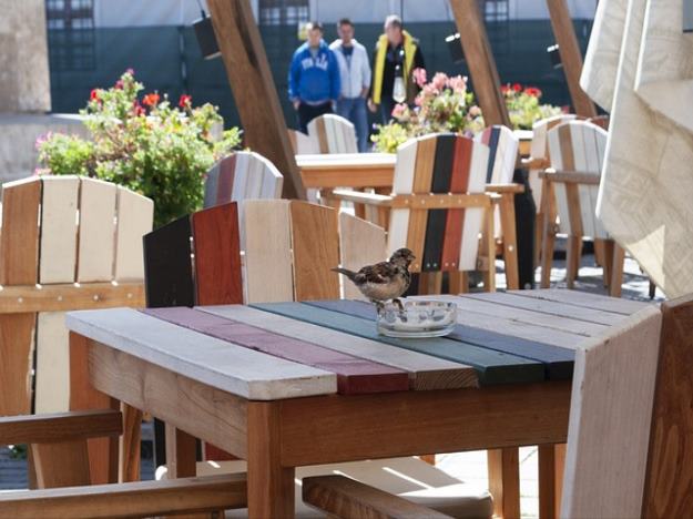 가임기란 언제인가