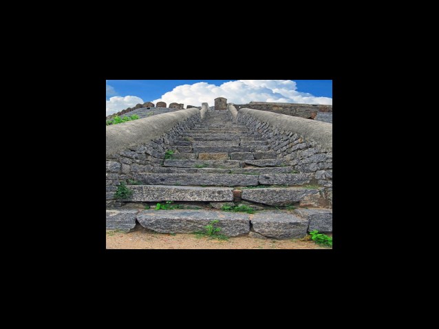 여의도 한강공원