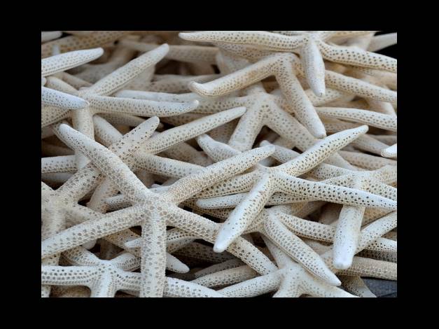 산재보험료 계산방법