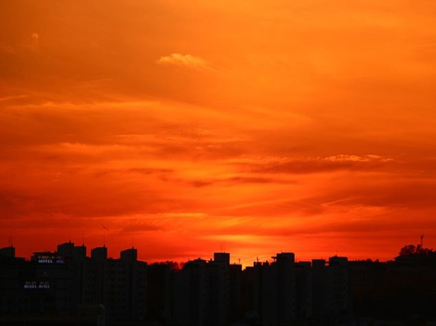 삼성닷컴 전용컬러