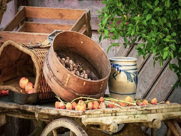 발병 처음에는 보존적 치료를 우선으로