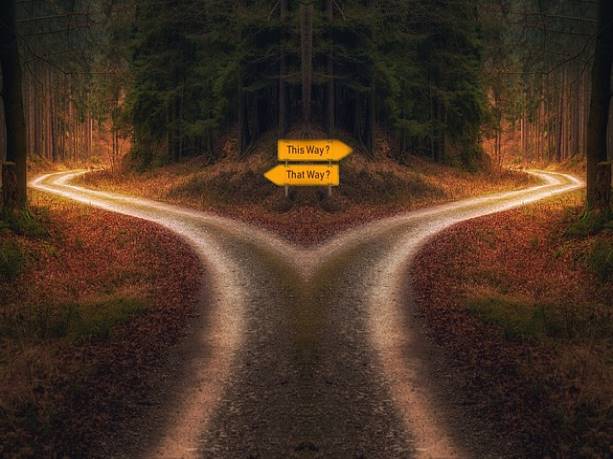 맛의고수 프리미엄 수제 꿀호떡