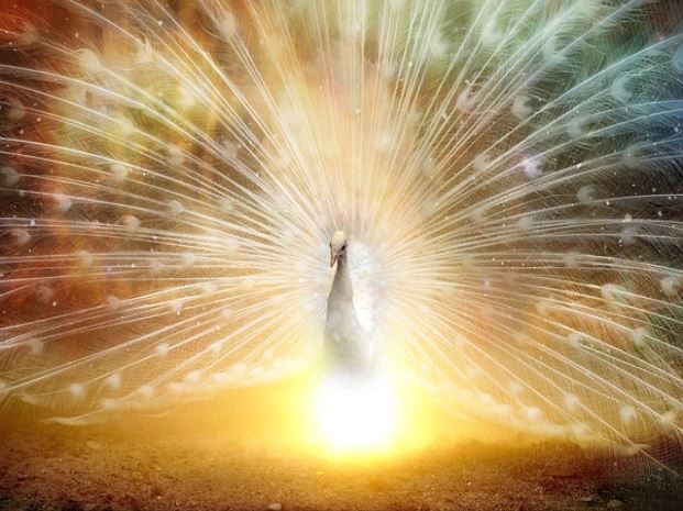 제주패스 제주도 렌트카 최저가