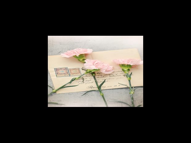 노령연금 연기제도