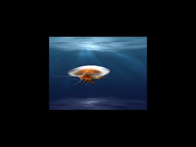 5 10만 원대 남자친구 크리스마스 선물