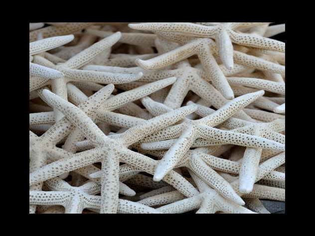 연금지급액 다짐 방식