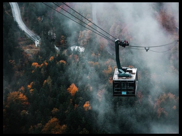 십자인대 파열의 증상