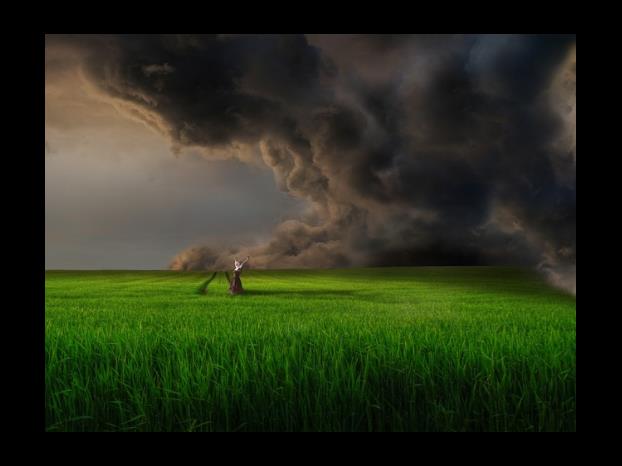 2024년 4월 처녀자리 운세농협 별자리 운세