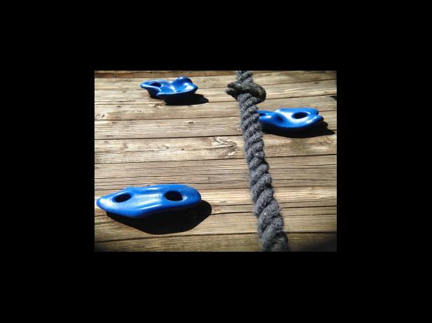 손실보전금 신청 기간과 지급일