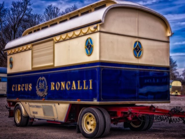 고구마 재배 방법