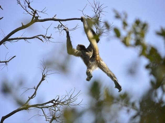 글루타치온 부작용