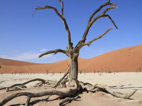 AppleCare란? 에플케어 플러스