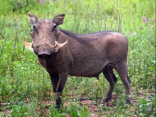 소량 자주 식사하기