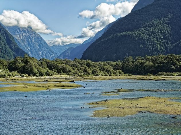 확정기여형 DC형 퇴직연금