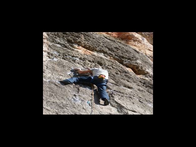 육체적인 이상 신호