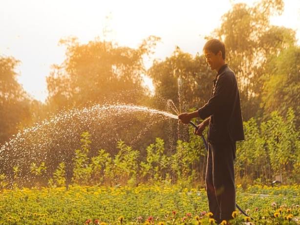데이터 로밍 1GB 요금제
