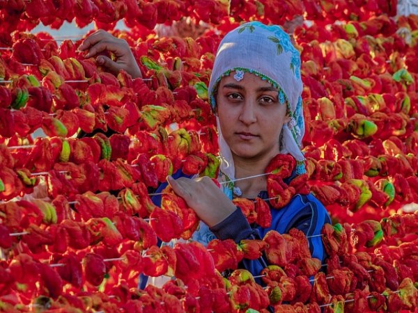 다음과 동일한 경우 이 약의 사용을 즉각 중지하고 의사, 약사와 상의할 것
