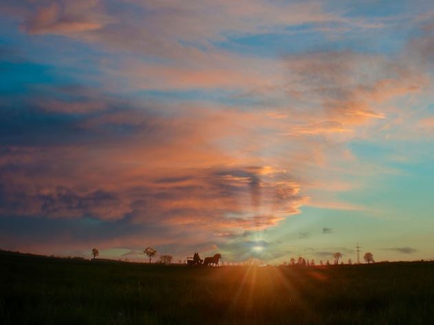 도안 우미린 트리쉐이드 분양가