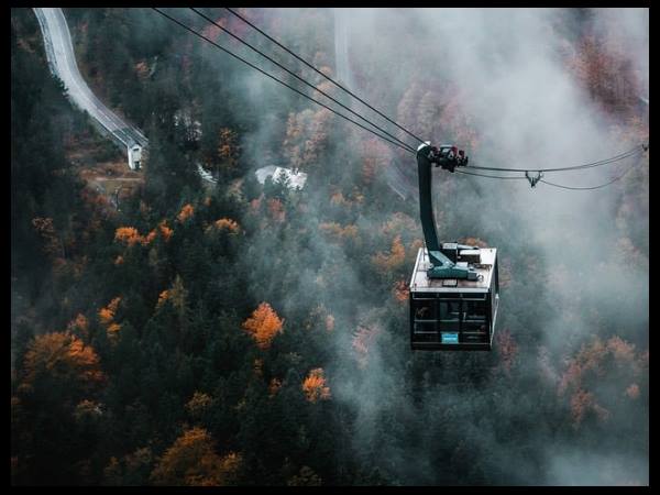 혼코의 피가 되고 살이 되는 정보