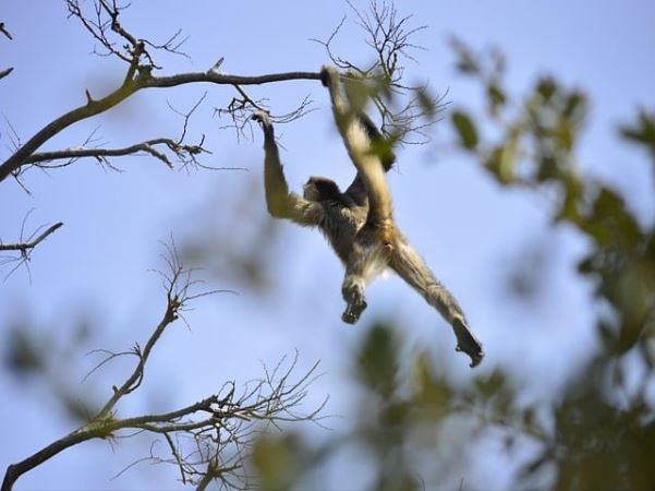 탄수화물, 단백질, 지방의 역할과 차이점