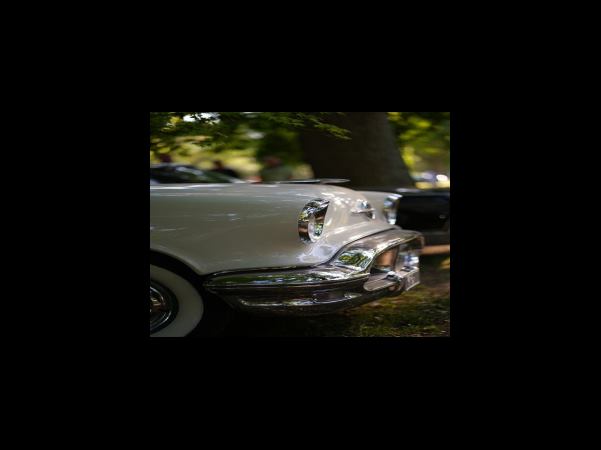 조직 검사와 생검