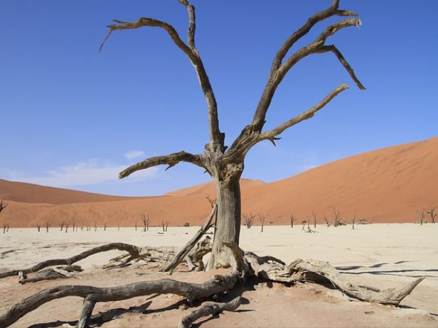 국민임대아파트 임대료