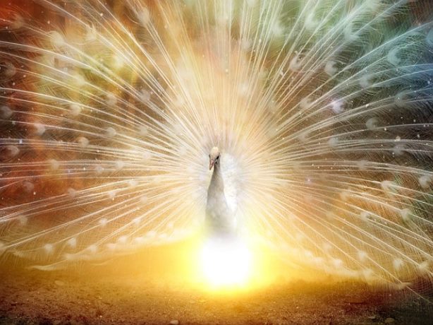 에듀윌 홈페이지