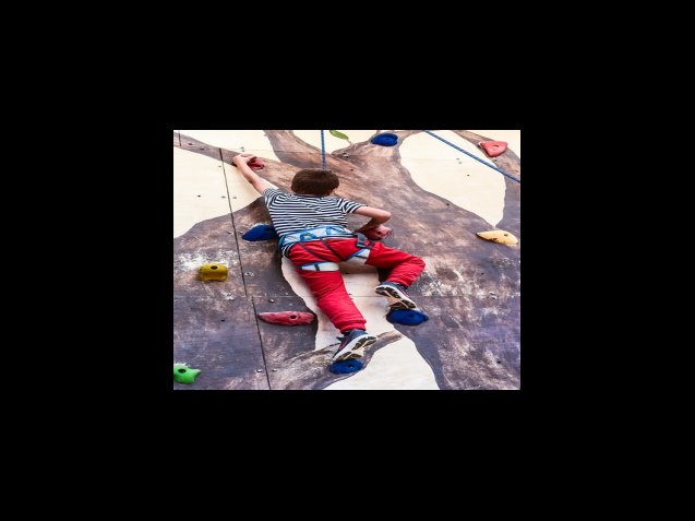 하한가의 원인은?