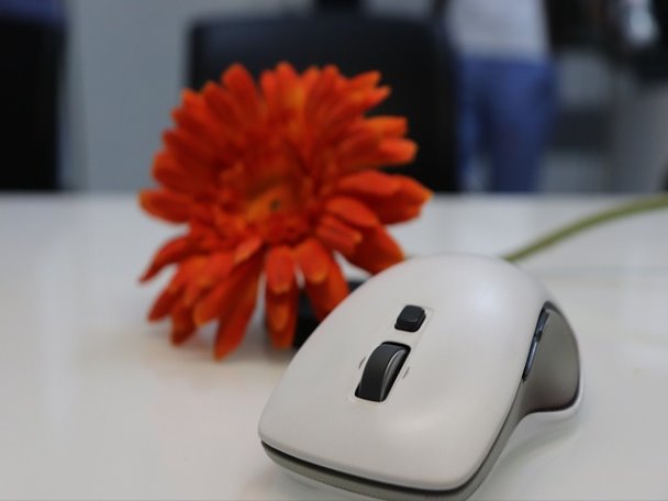 가격 예상회귀분석