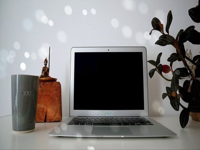 연락처 0544291716