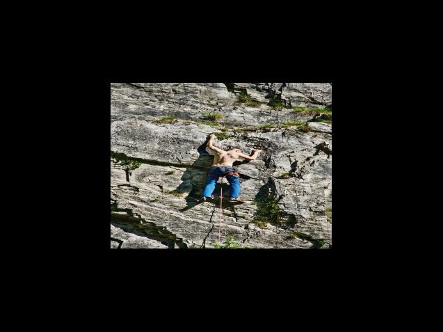 아누카 사과, 호주산과 이탈리아산의 차이점은?