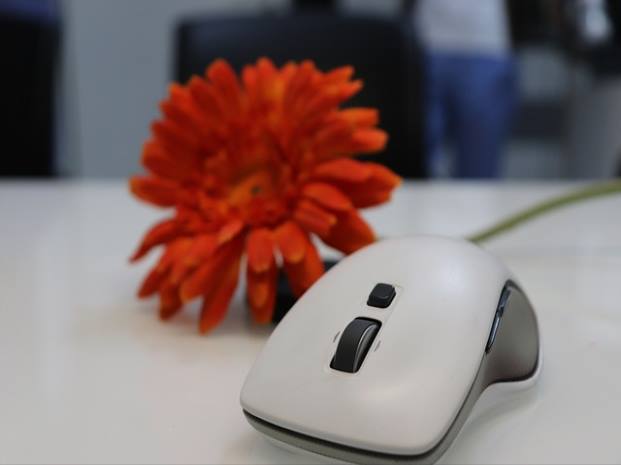 수술 후 활동범위