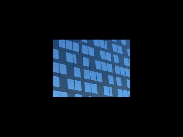 장애인 교직 뽑을 사람이 없습니다.?