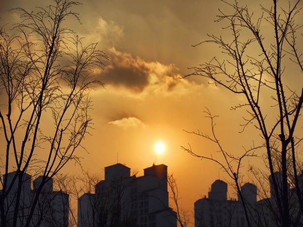 무릎 통증의 예방